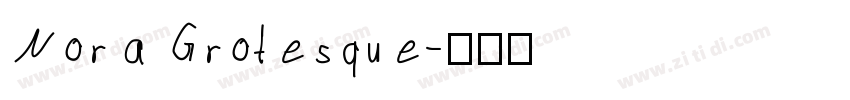 Nora Grotesque字体转换